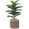 Vintiquewise Wooden Stump Tree Branch with Bark Succulent Planter Pot Flower Shelf QI003849 - alternate 1